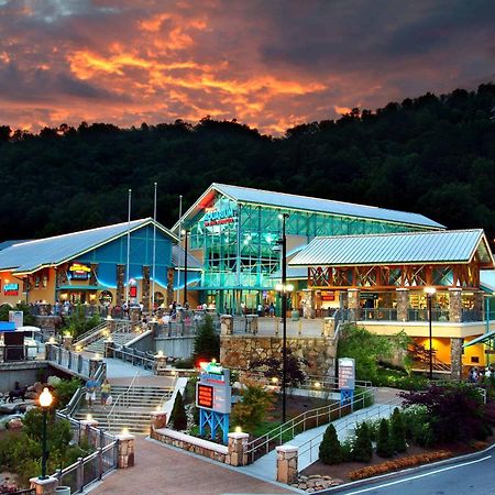The Solstice - Amenities Galore Mountain Retreat 개틀린버그 외부 사진