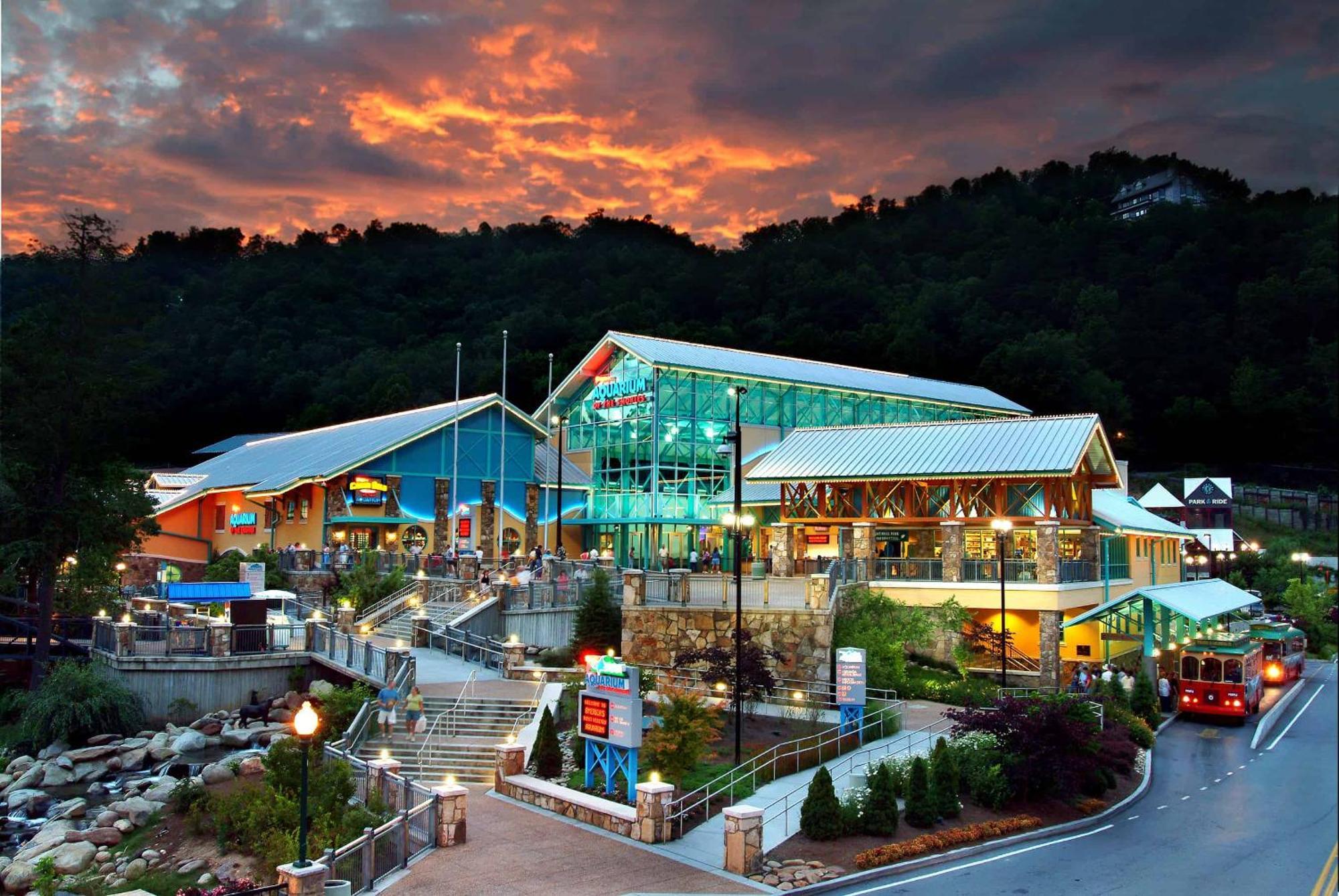 The Solstice - Amenities Galore Mountain Retreat 개틀린버그 외부 사진